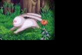 《dnf》狩猎杂烩兔活动内容介绍
