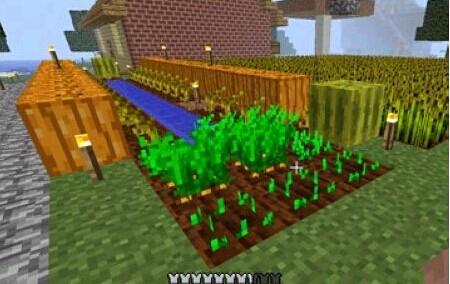 《我的世界》农场种植西瓜的正确姿势