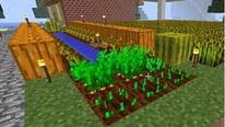 《我的世界》农场种植西瓜的正确姿势