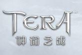 《TERA》元素新手进阶攻略 元素纹章的配法