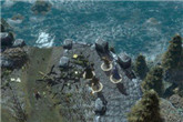 PC新作《剑湾传奇》公布 《龙腾世纪:起源》总监打造