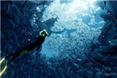 《ABZU》水下预告演示 展示绚丽精美的海底世界
