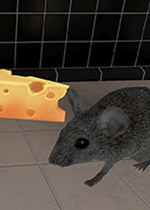 老鼠模拟器v1.08