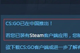 《CS：GO》Steam国区加入免费版  可以改国际服