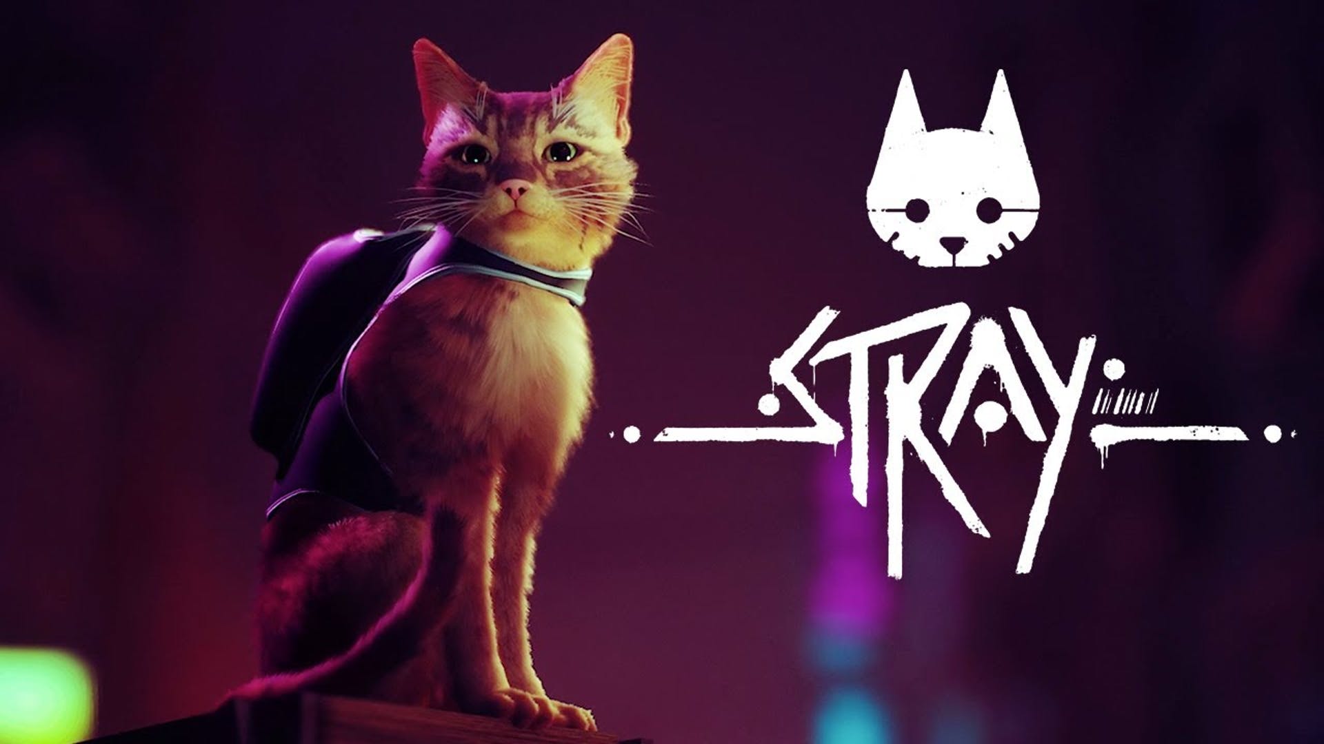 发行商最新推文：猫咪冒险游戏《Stray》仍会在2022年发售