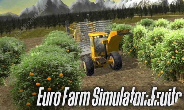 Euro Farming：Fruit