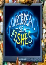 加勒比海之鱼